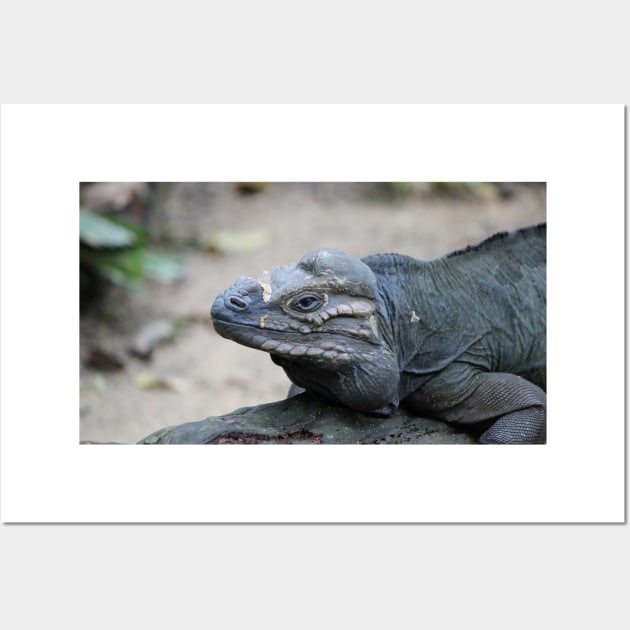 Rhino Iguana Wall Art by LeanneAllen